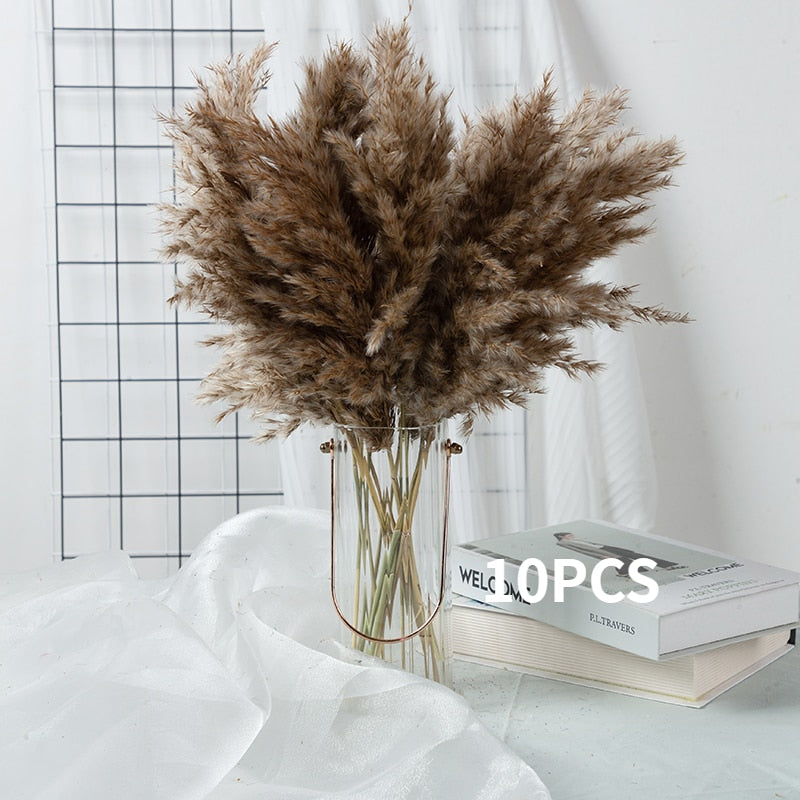 Natural Dried Pampas Bouquet - Autumn home decoration with dried flowers. Ideal for weddings, parties, and more.