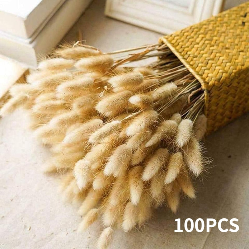 Natural Dried Pampas Bouquet - Autumn home decoration with dried flowers. Ideal for weddings, parties, and more.