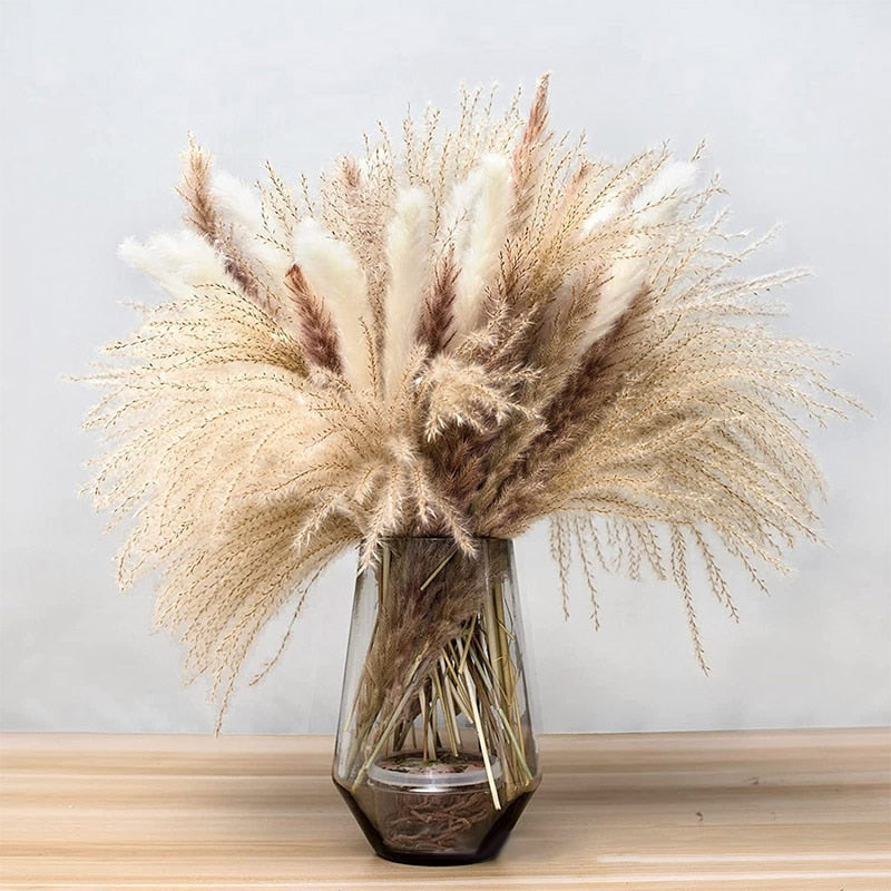 Natural Dried Pampas Bouquet - Autumn home decoration with dried flowers. Ideal for weddings, parties, and more.