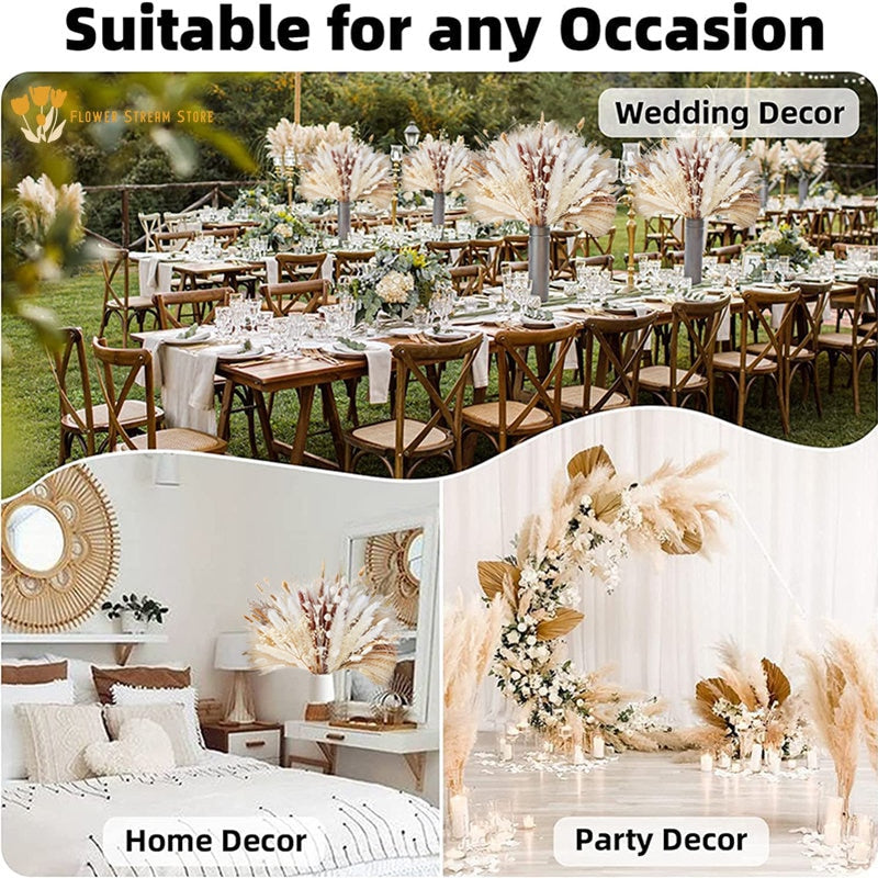 Natural Dried Pampas Bouquet Home Autumn Decoration
