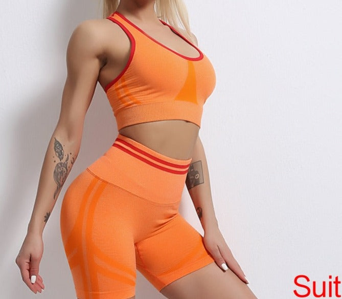 2 Piece Gym Set - Breathable, Comfortable, and Durable Fitness Apparel in Multiple Colors