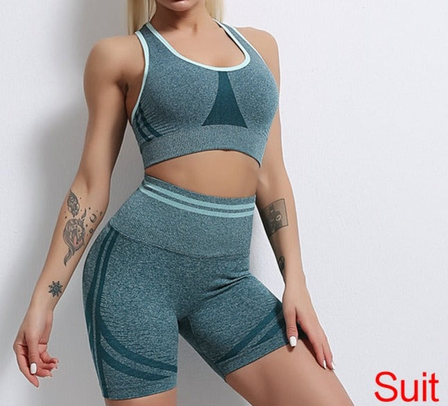 2 Piece Gym Set - Breathable, Comfortable, and Durable Fitness Apparel in Multiple Colors