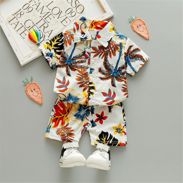 Boys Beach Wear set for summer, cotton polyester blend, sizes for boys 0-5 years old, various colors.