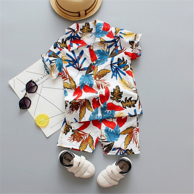 Boys Beach Wear set for summer, cotton polyester blend, sizes for boys 0-5 years old, various colors.