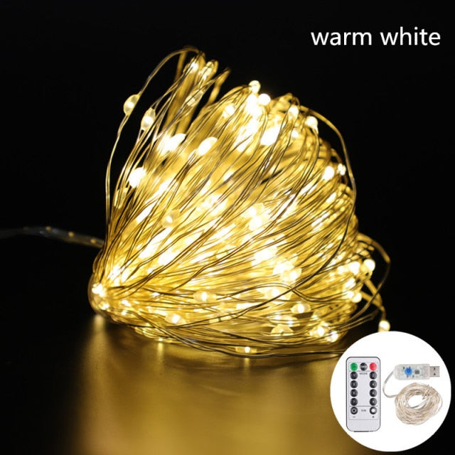 5M-20M LED Christmas String Lights in various colors and modes. Small and flexible wire for easy wrapping. Energy-saving LED bulbs. Fireproof ABS plastic shell with waterproof silicon. Simple installation. Get yours now!